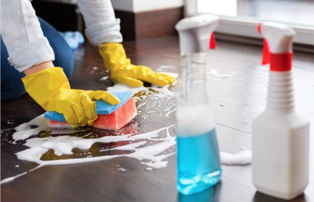 Deep Cleaning vs. Regular Cleaning: What’s the Difference and When Do You Need Each?