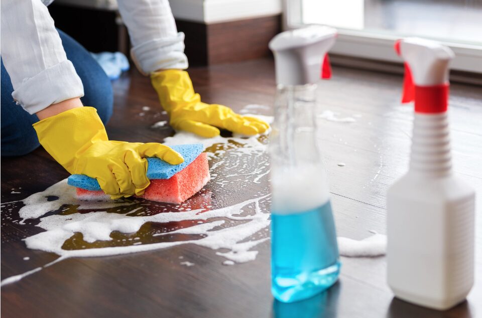 Deep Cleaning vs. Regular Cleaning: What’s the Difference and When Do You Need Each?